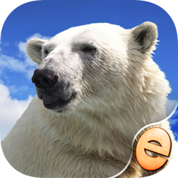 Jigsaw Wonder Polar Bear Puzzles for Kids